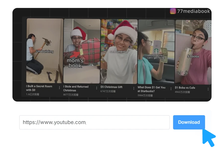 Paste the Link into XXVID