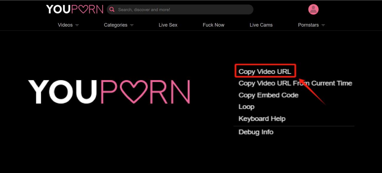 Copy Youporn video link