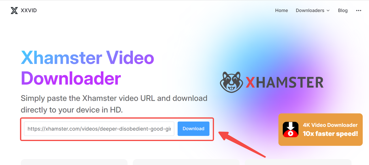 Paste Xhamster link into the input